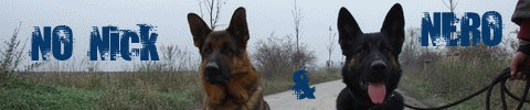 http://nick-a-nero.dogweb.cz